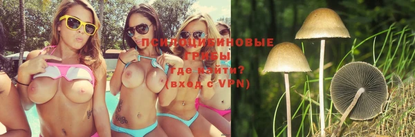 дурь Вязники